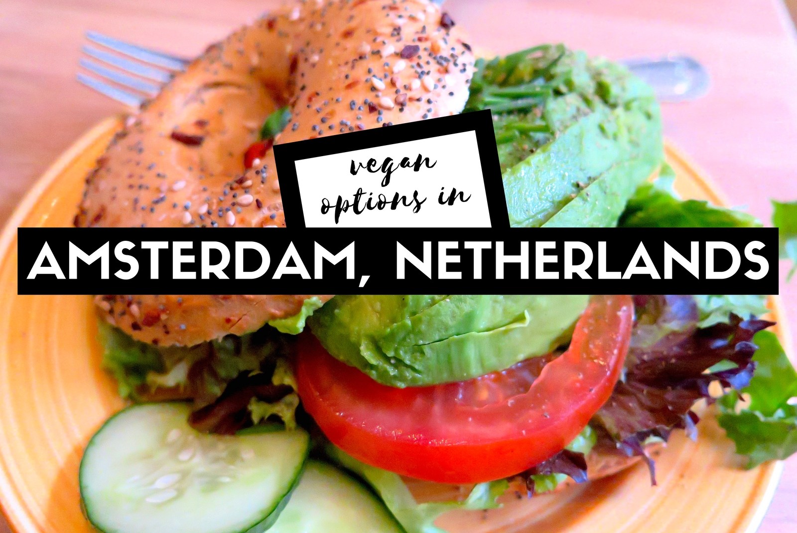 vegan options in amsterdam