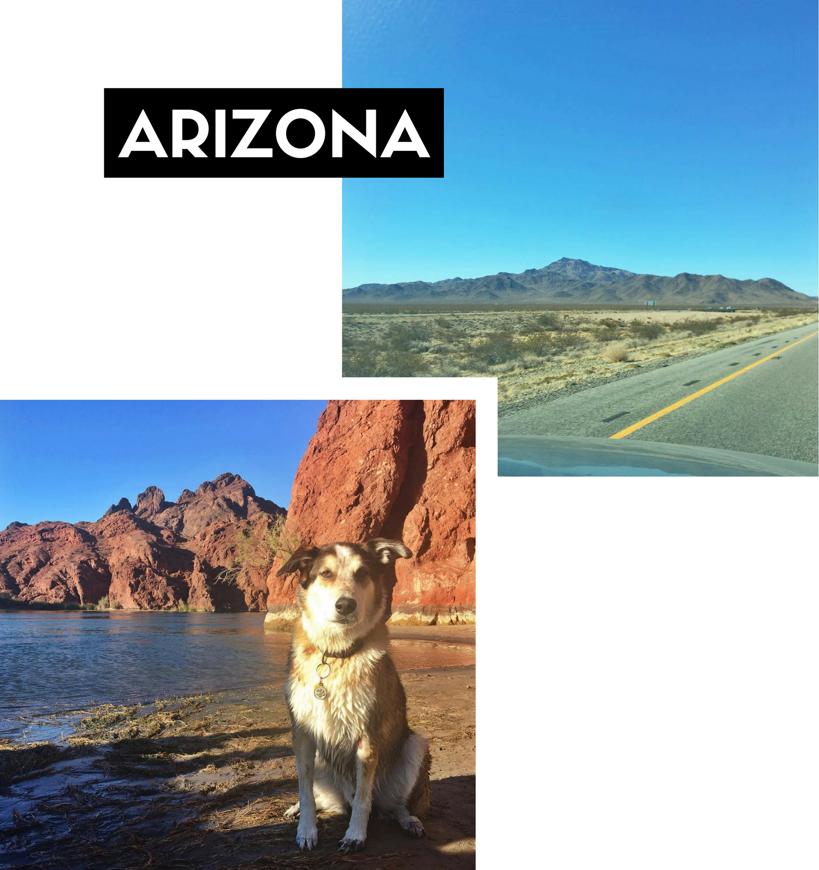 ARIZONA