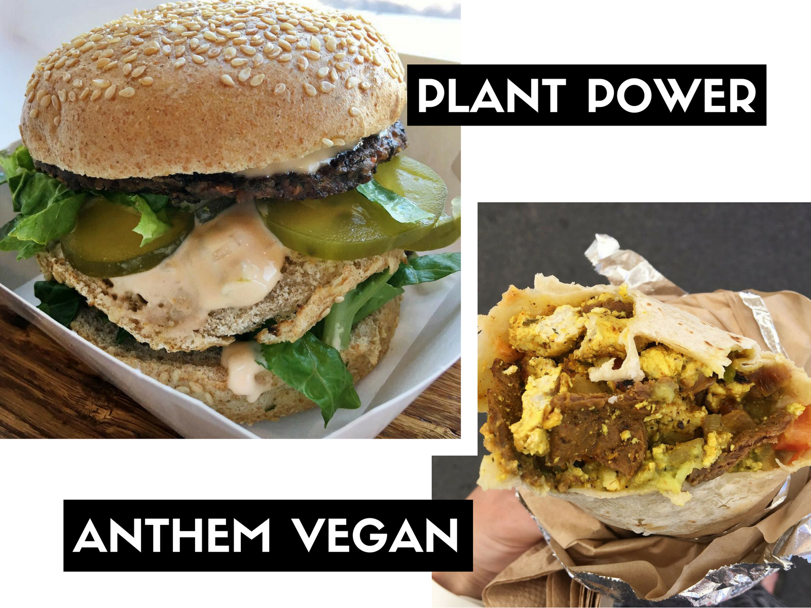 PLANT POWER & anthem vegan