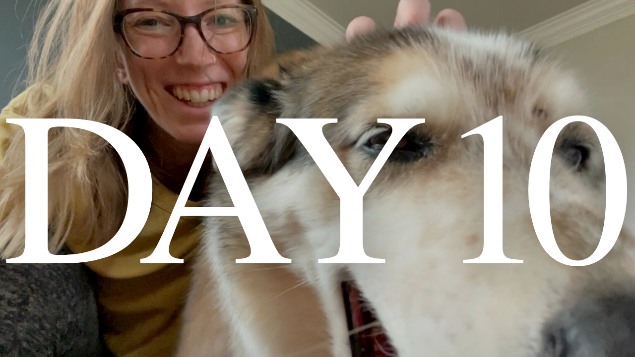 vlogmas day 10 | 2022